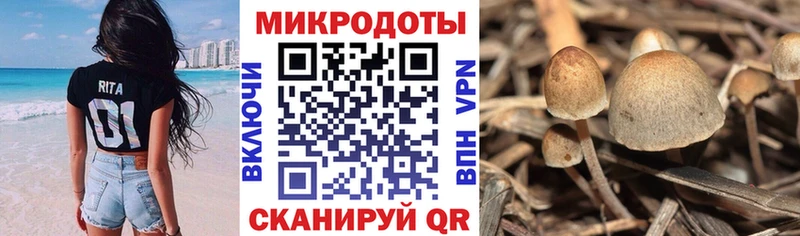 Галлюциногенные грибы мицелий  Томилино 