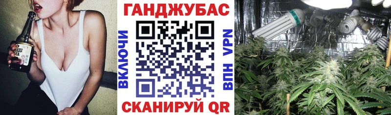 Бошки марихуана VHQ  купить наркотик  Томилино 